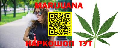 гидра Дубна