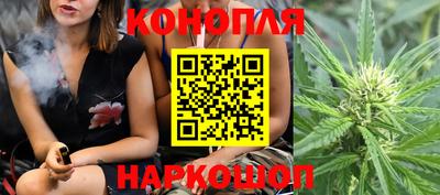 гидра Дубна