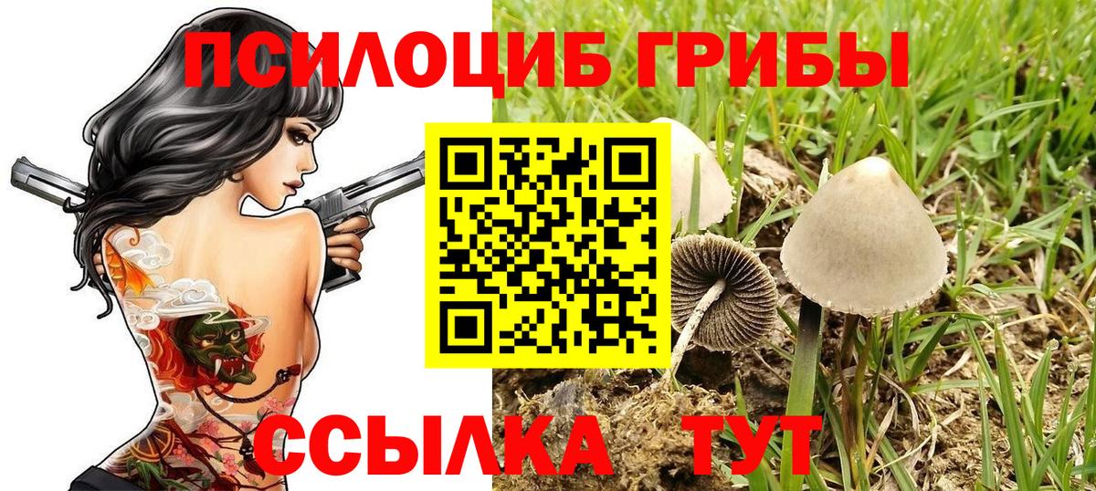 Галлюциногенные грибы Psilocybe  Псилоцибиновые грибы MAGIC MUSHROOMS  Вход с VPN  Мичуринск 