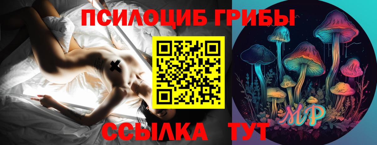 Псилоцибиновые грибы мицелий Мичуринск